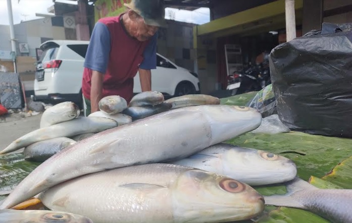 Diyakini Bawa Hoki dalam Perayaan Imlek, Ikan Bandeng Diserbu Pembeli