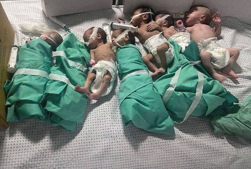 Dua dari 39 Bayi di RS Al Shifa Gaza Meninggal, Bayi Prematur Bertahan Tanpa Inkubator dan Oksigen 