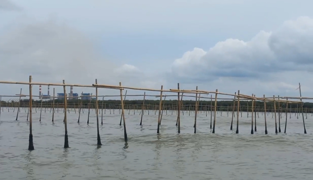 Pagar Laut Muncul di Pesisir Tangerang, Kakorpolairud Beri Penjelasan