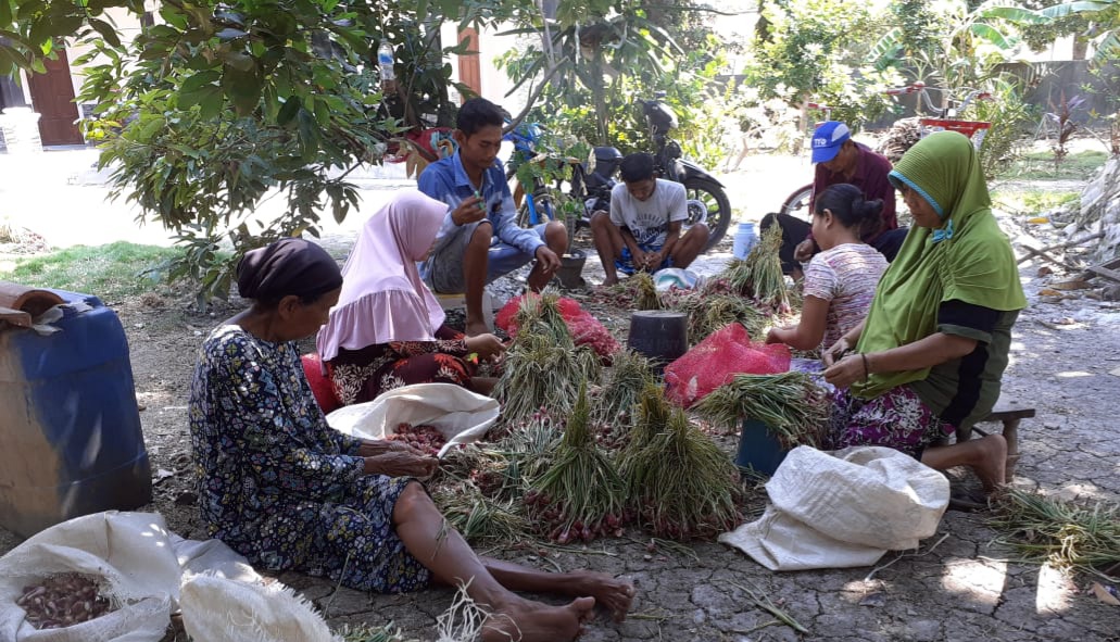 Harga Cabai dan Bawang Merah Terus Melambung