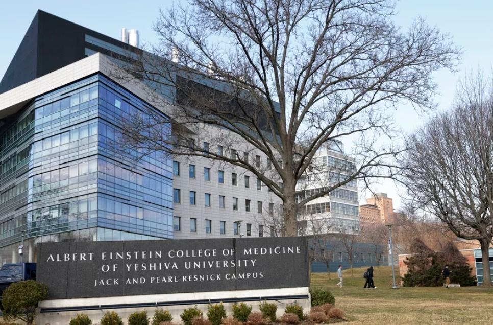 Asyik! Kampus Albert Einstein College Gratiskan Biaya Kuliah Bagi Mahasiswa Fakultas Kedokteran
