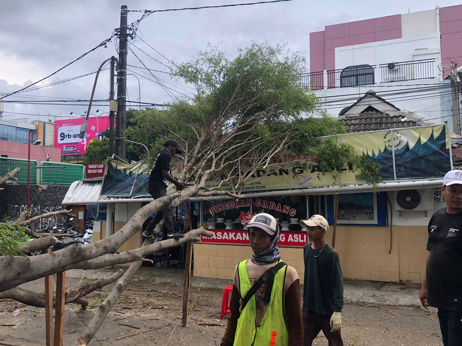 Angin Kencang, RM Padang di Bekasi Tertimpa Pohon Tumbang