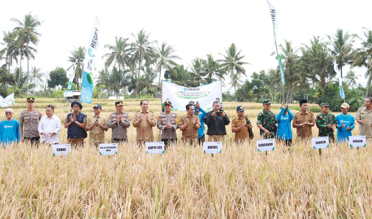 Panen Raya Padi Organik Berhasil di Lombok Timur, Per Hektar Tembus Hingga 6 Ton