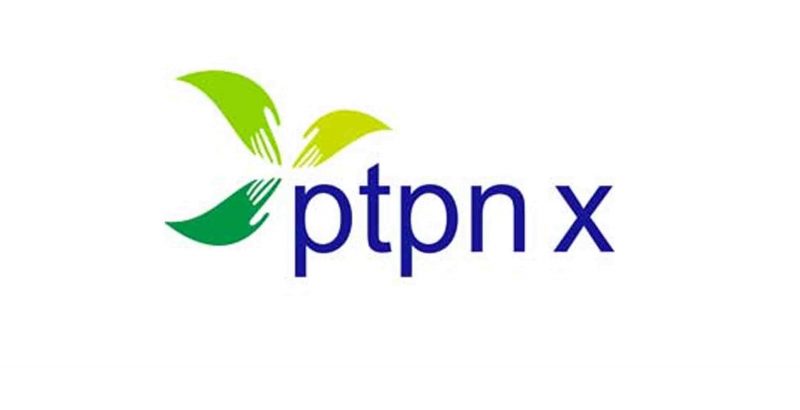 PTPN X Buka Lowongan untuk Posisi Asisten Manajer Tembakau