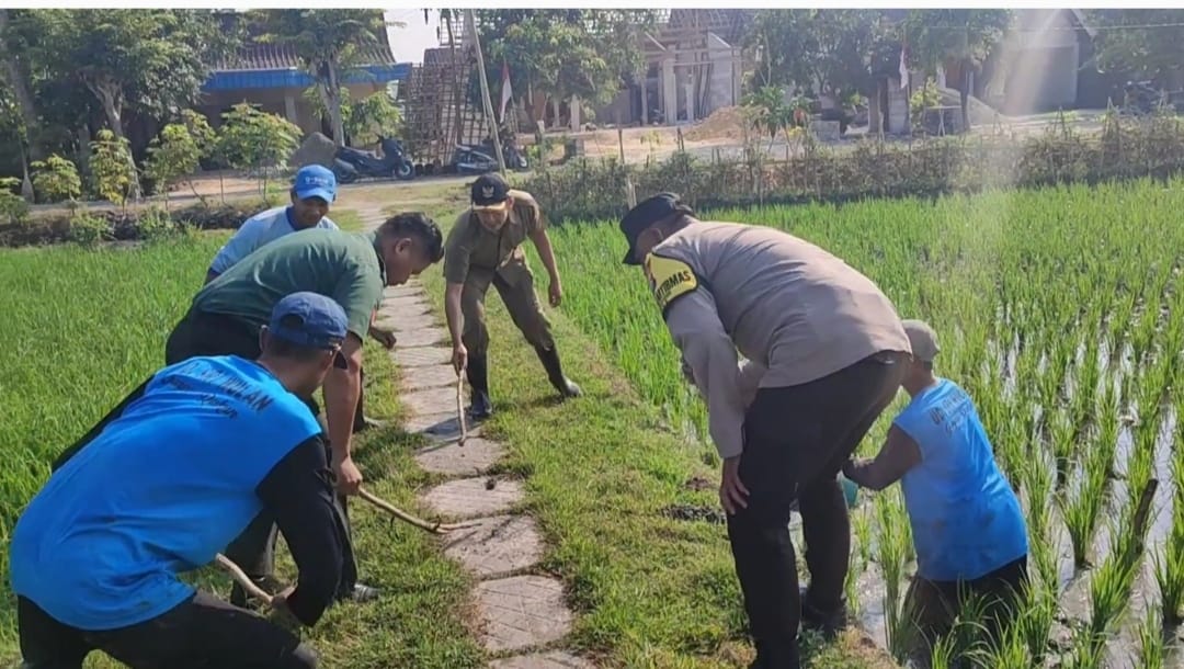 Anugerah Patriot Jawi Wetan II: 3 Desa Terbaik dari Kabupaten Ngawi