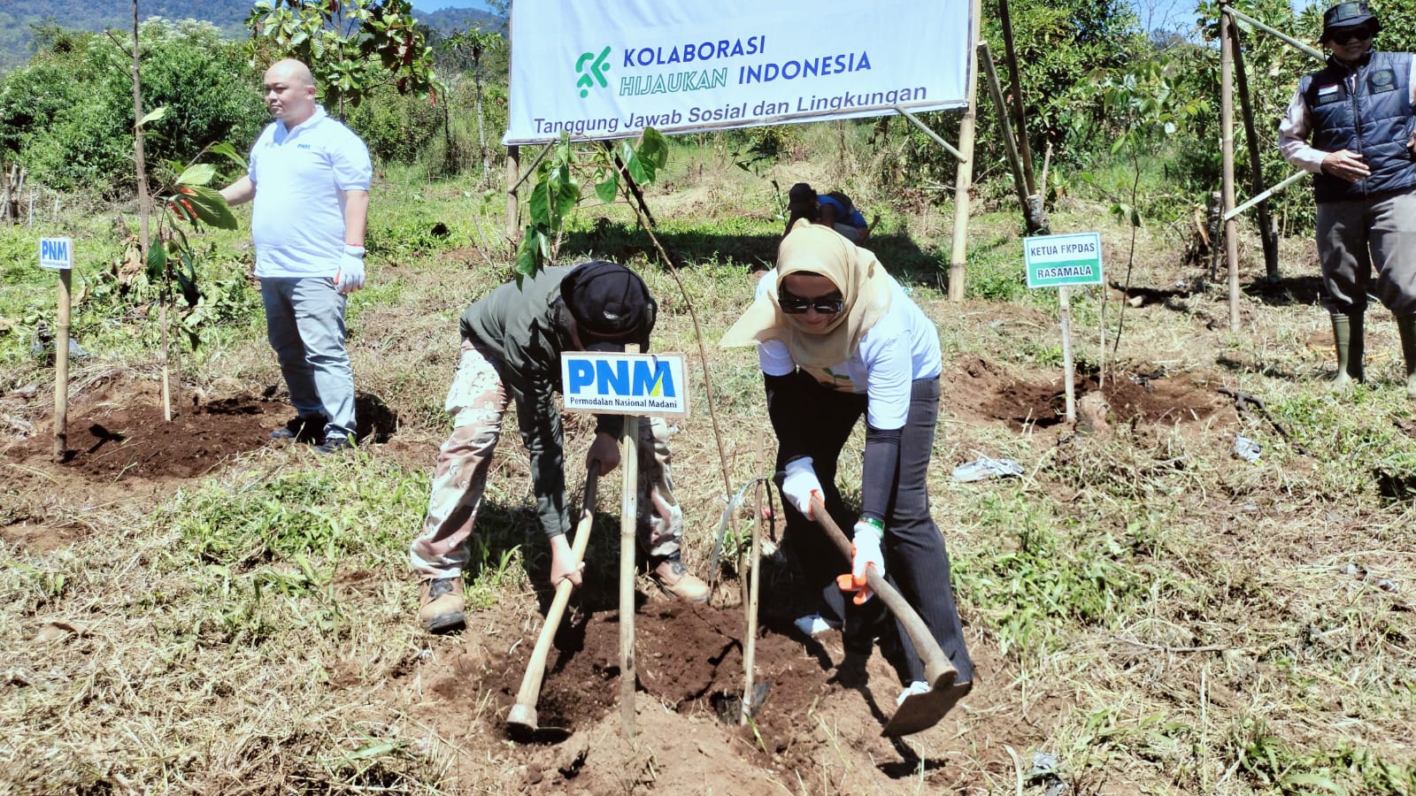 Aksi Nyata PNM di Hari Lingkungan Hidup Sedunia: Bumi Semakin Hijau, Laut Semakin Hidup!