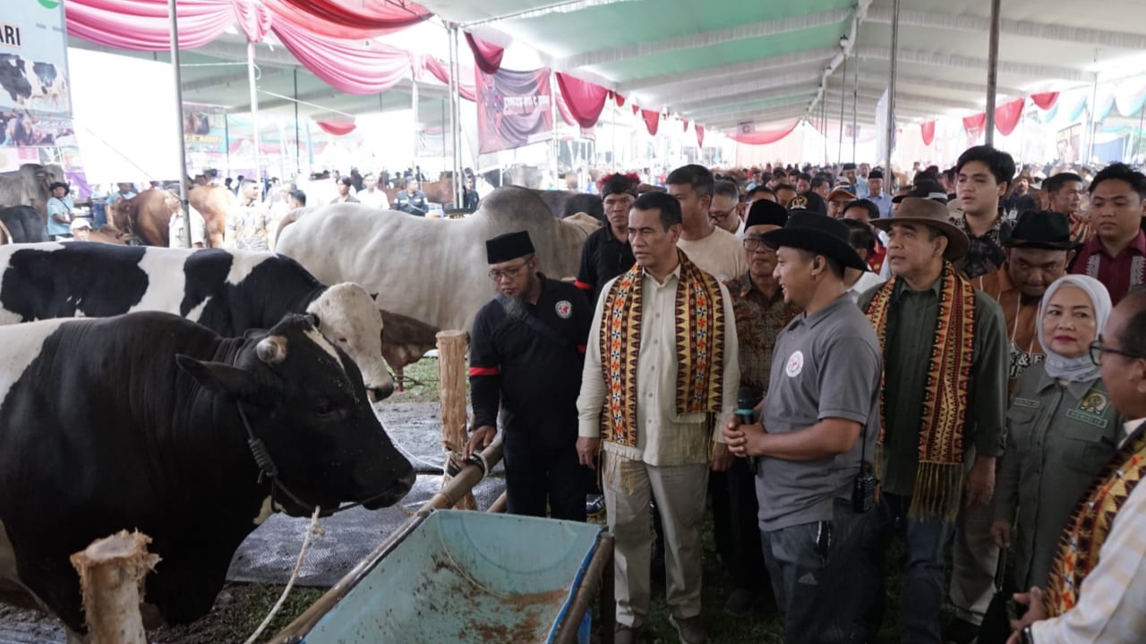 Diprotes Peternak Lampung soal Harga Daging Sapi, Ini Kata Mentan Amran