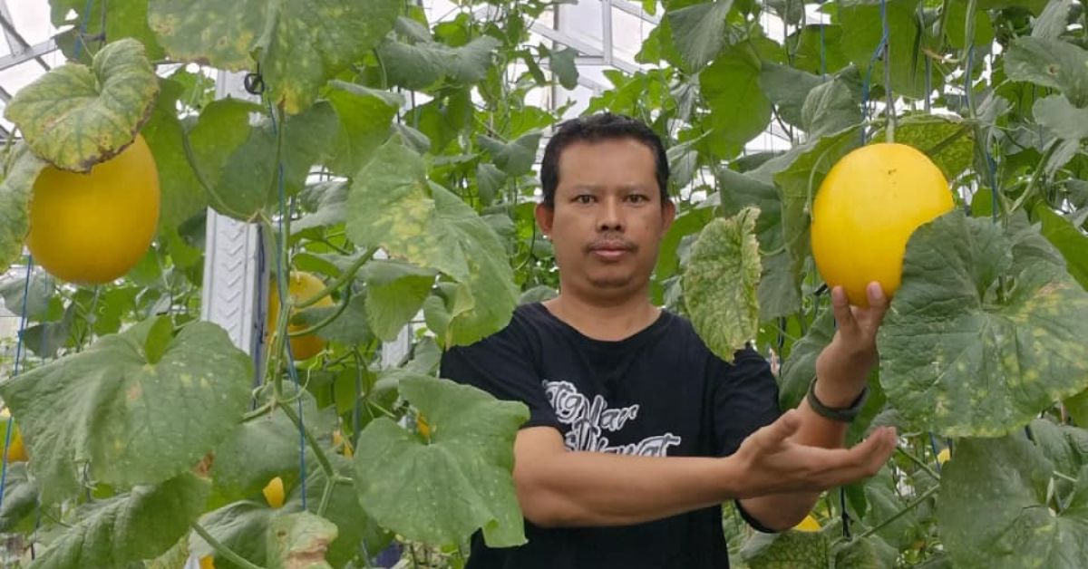 Manfaatkan IoT, Petani Kediri Sukses Naikkan Hasil Produksi Hingga 70 Persen