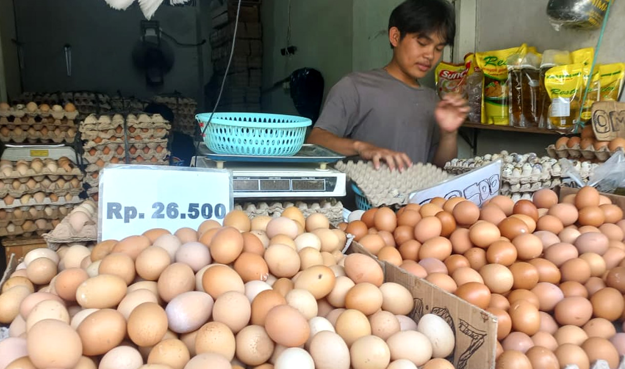 Bangganya Pedagang Telur Dipercaya Jadi Supplier MBG: Siapkan Ratusan Kilogram Setiap Hari