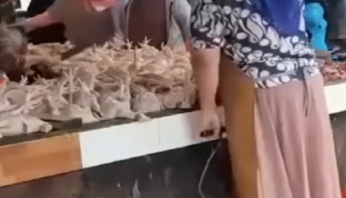 Heboh! Video Ayam Potong Diisi Angin Pakai Pompa di Pasar
