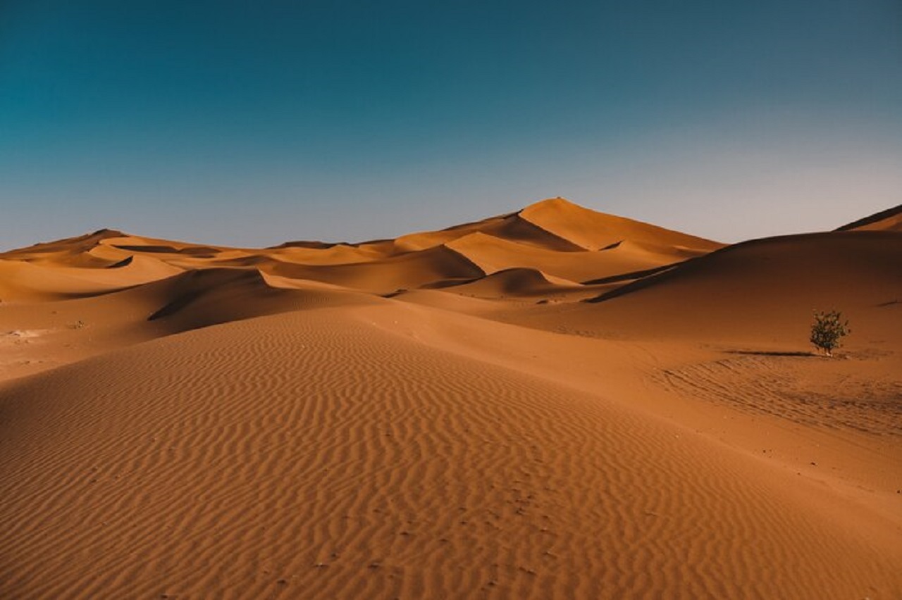 Gurun Sahara Dilanda Hujan Lebat, Para Ilmuwan Mulai Bingung: Kok Bisa?