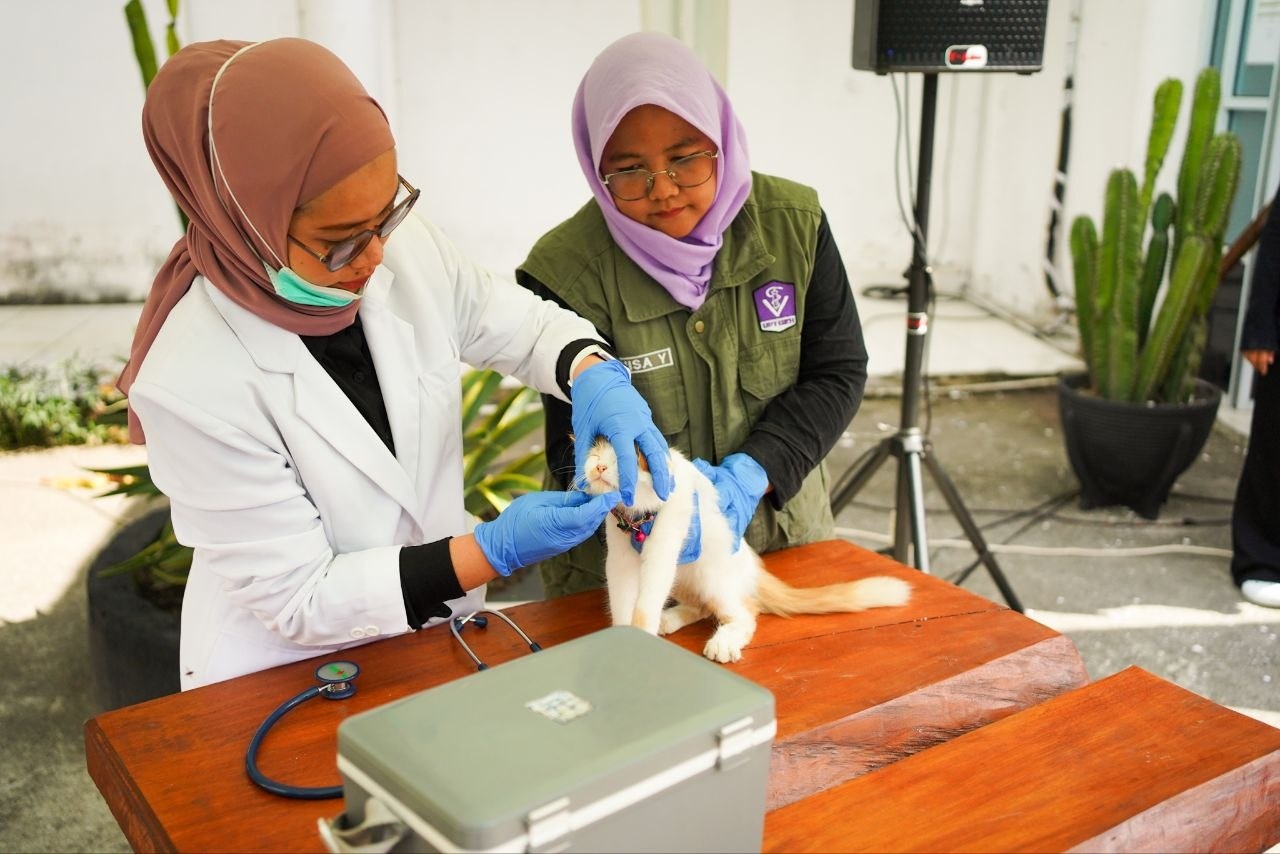 11 Daerah di Riau Masih Status Tertular Rabies, Hanya Meranti yang Bebas
