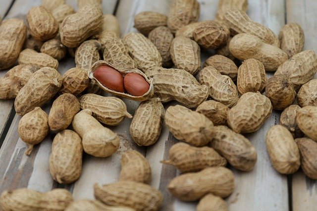 Manfaat Kacang Tanah, Bisa Menjaga Berat Badan dan Mengurangi Risiko Diabetes