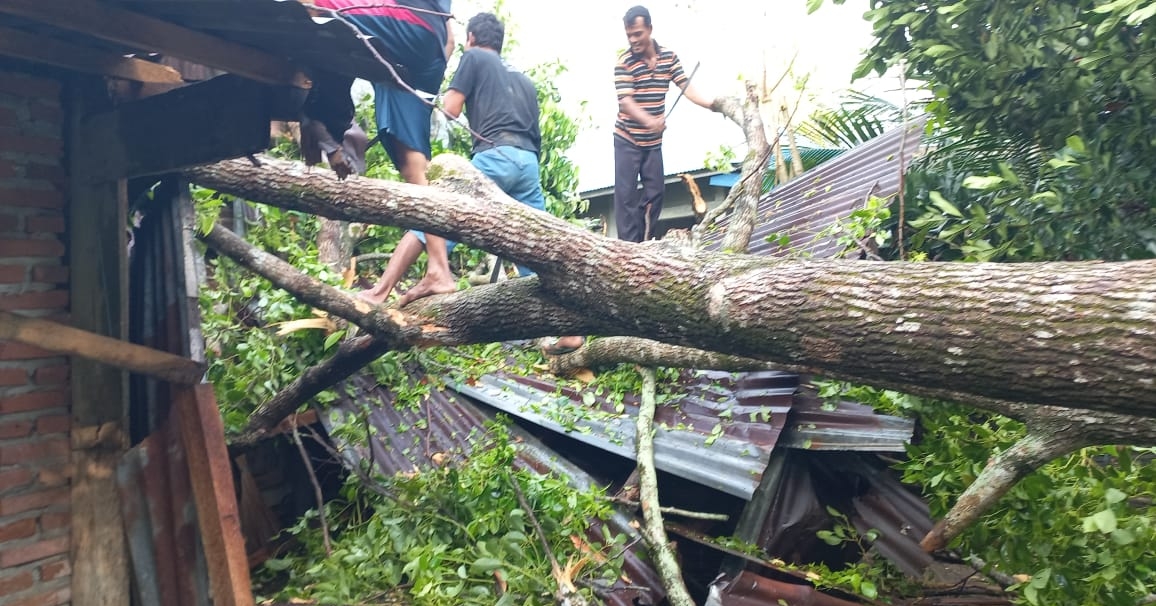 Hujan Deras dan Angin Kencang Terjang Jakarta, 14 Pohon Tumbang dan 4 Orang Jadi Korban