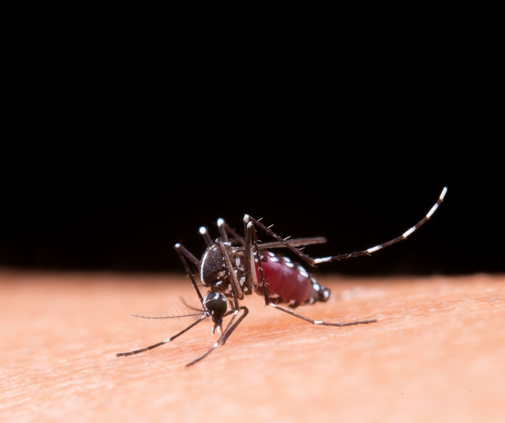 Kasus Malaria Melonjak Pemerintah Genjot Eliminasi 2030