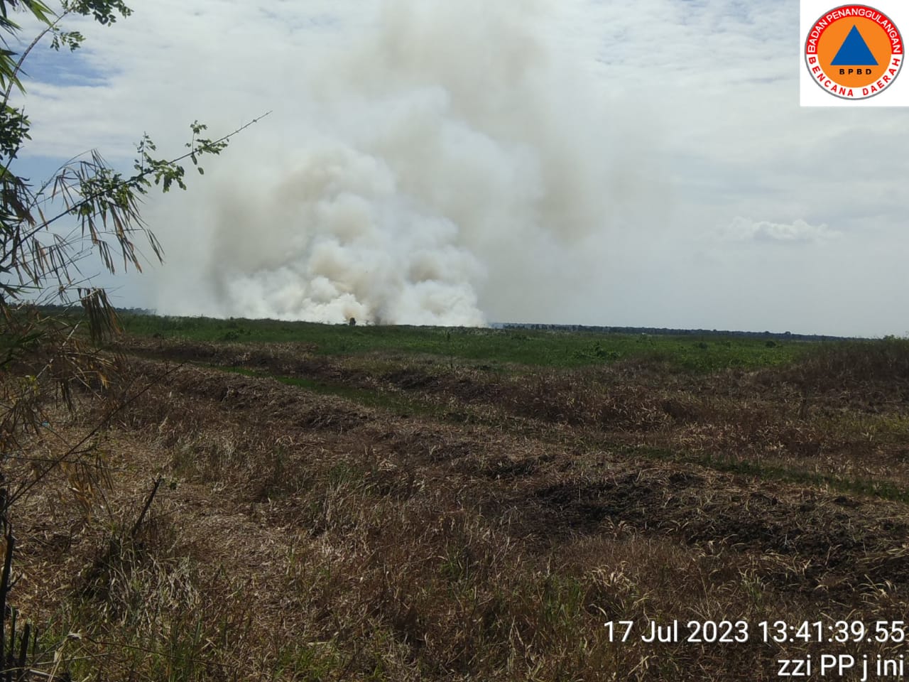 Karhutla Lahap 6,3 Hektar Lahan di Kalimantan Selatan, Kalimantan dan Jawa Dalam Kondisi Mudah Terbakar