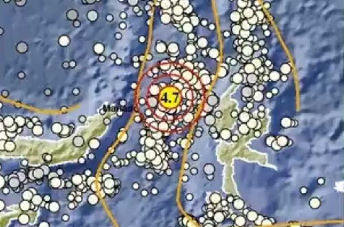 Gempa Bumi Guncang Halmahera Barat Malut Hari Ini Berkekuatan M 4,7