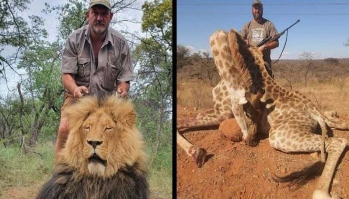 Instan Karma! Pemburu Liar yang Sering Membunuh Gajah dan Jerapah Kini Tertembak Mati di Afrika Selatan