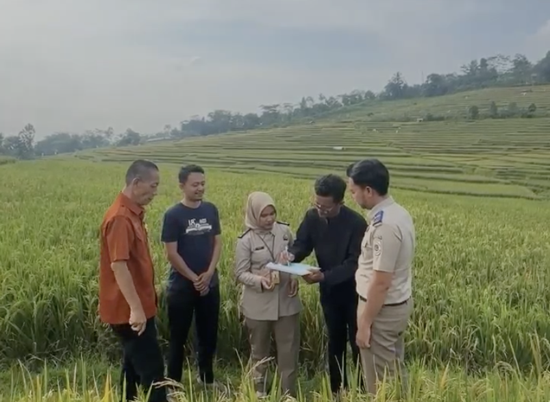 Urus Tanah Makin Mudah, Tanpa Perantara, Kini Cukup Pakai Layanan FIFO