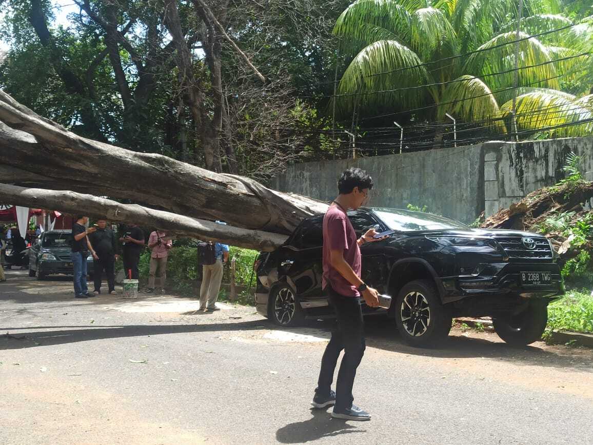 Tak Ada Angin dan Hujan, Sebuah Pohon Tumbang Timpa Fortuner di Depan Rumah Prabowo