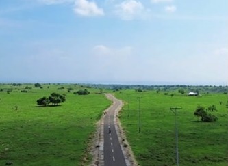 Pelesir ke Desa Patawang, Menikmati Agrowisata Hijau di Jantung Sumba Timur