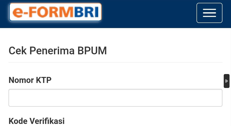 Cara Mudah Cek BLT UMKM Rp 600 Ribu via eform BRI Bermodal KTP, Tanda Ini jadi Bukti Cair?