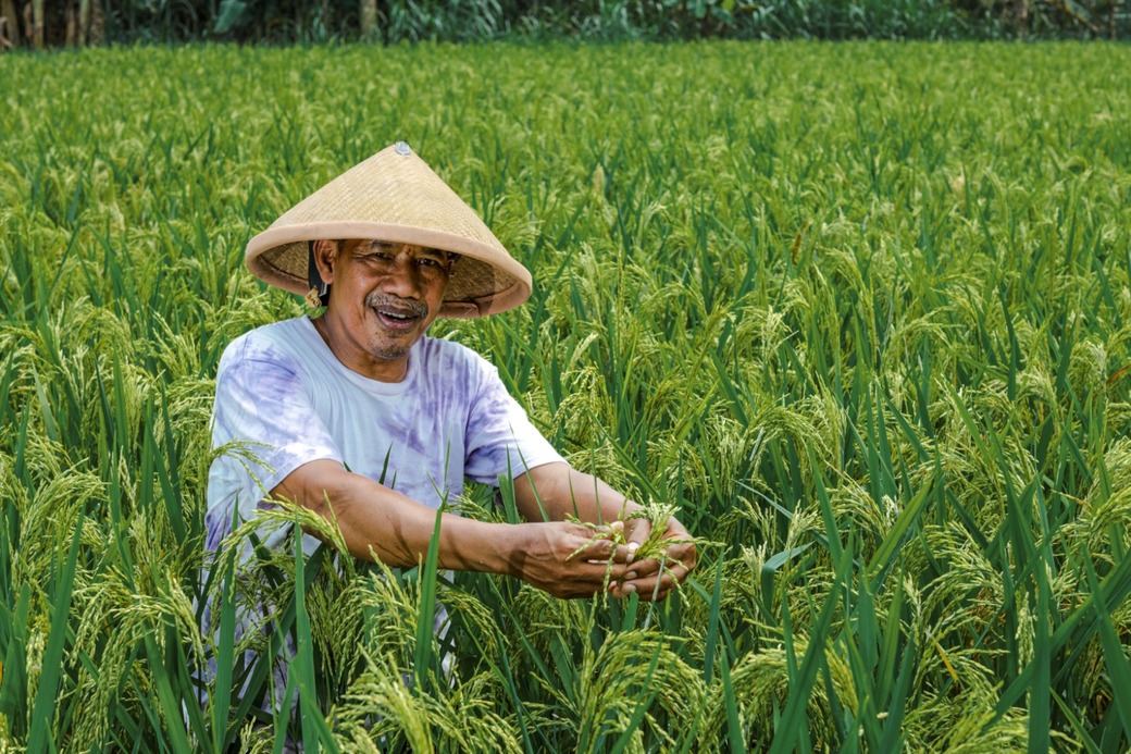 Dukung Musim Tanam Oktober - Maret, Pupuk Kaltim Pacu Produksi