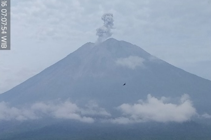 Gunung Semeru Erupsi Hari Ini, Tinggi Kolom Letusan 1.000 Meter di Atas Puncak