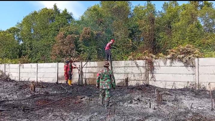 Kebakaran Gambut di Kampar, Diduga Disengaja, Api Nyaris Dekati Permukiman