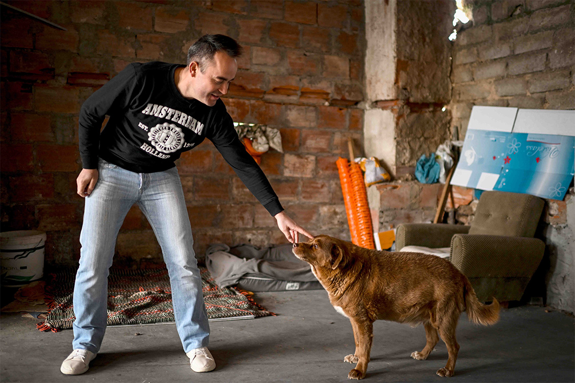 Bobi, Anjing Tertua di Dunia