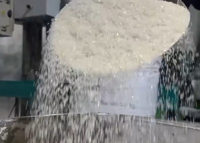 Krisis Penyerapan Gula Petani: Antara Banjir Impor dan Lemahnya Tata Kelola