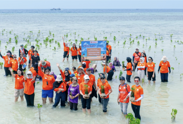 Geliat Ekonomi Biru di Pulau Pari: Dari Penanaman Mangrove hingga Literasi Keuangan Warga  