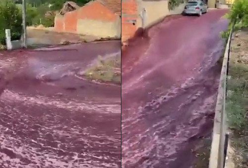 2,2 Juta Liter Wine Jebol dari Tangki Pabrik, Satu Kota Banjir Anggur Merah