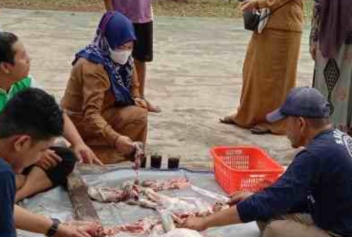 Warga SMAN 2 Lubuklinggau Kurbankan 1 Sapi, 4 Kambing