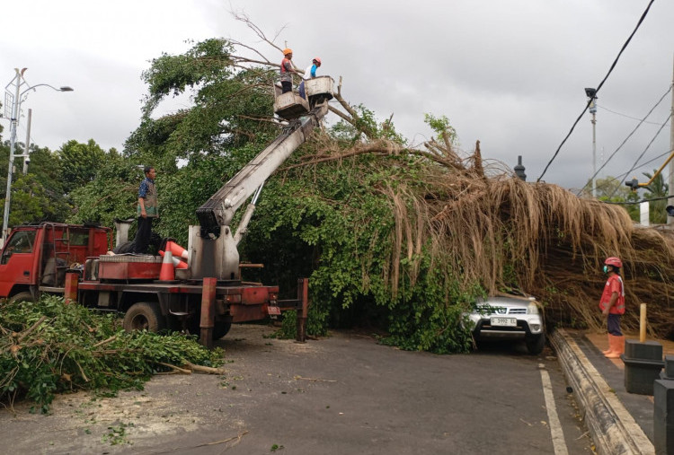 Cuaca Ekstrem Terjang Batang: Tanah Longsor, Banjir, dan Pohon Tumbang Melanda Lima Kecamatan