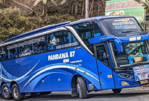 Aduh! Ulang Tahun 1 Dekade Bus Pandawa 87 Harus Tercoreng Oleh Oknum Sopir Karena Viral Lawan Arah vs Bus Kopassus