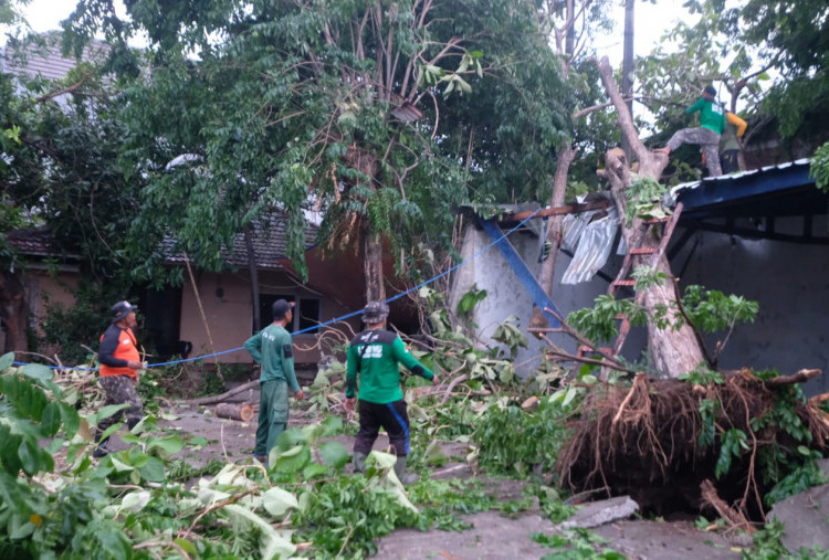 Cuaca Ekstrem, Puting Beliung Landa Sidoarjo 