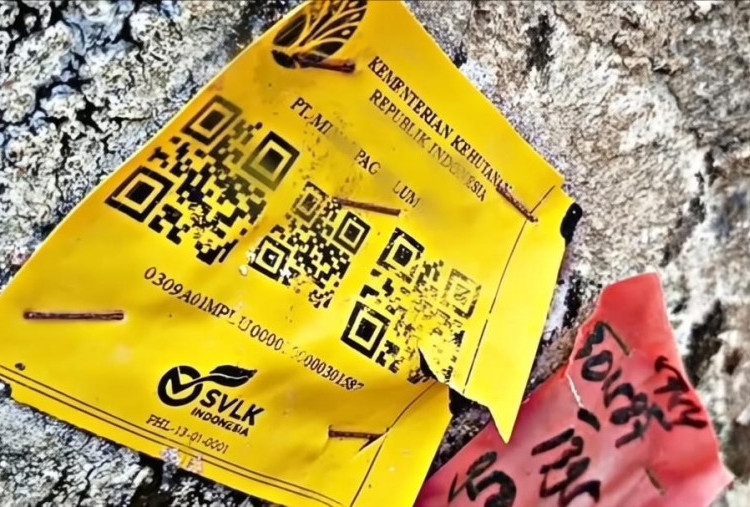 Viral Ribuan Kayu Gelondongan Berlabel Kemenhut Terdampar di Pesisir Lampung: Ada Tulisan 'SVLK Indonesia'