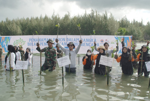 Dompet Dhuafa Tanam 220 Mangrove di Pantai Uleee Lheue Banda Aceh