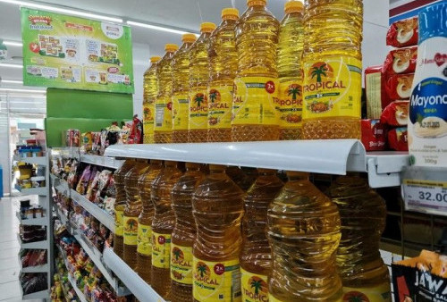 Harga Minyak Goreng di Alfamart, Indomaret dan Yogya 26 Mei 2022, Termurah Camar 2 Liter Rp 44.500