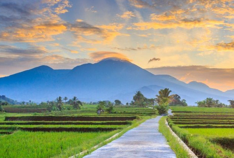 4 Alasan Mengapa Hidup di Pedesaan Lebih Baik daripada di Perkotaan