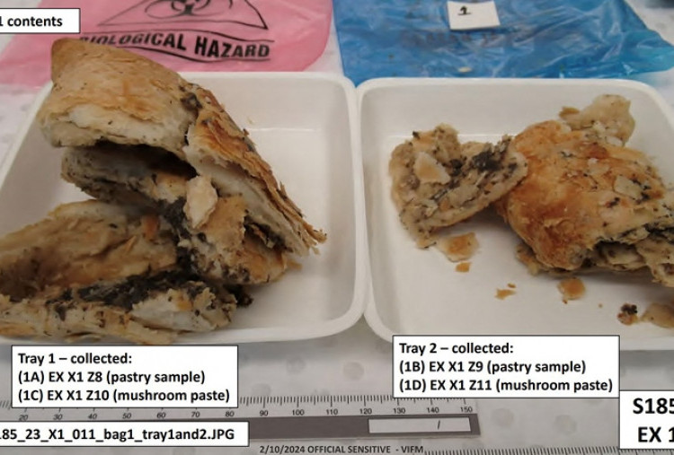 Pembunuhan Jamur Beracun yang Menghebohkan Australia (1): Berdalih Kanker, Undang Makan Siang