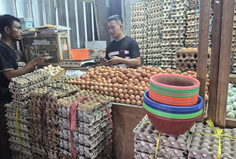 Harga BBM Nonsubsidi Naik, Gimana Imbasnya ke Harga Telur? Segini di Pasar Minggu