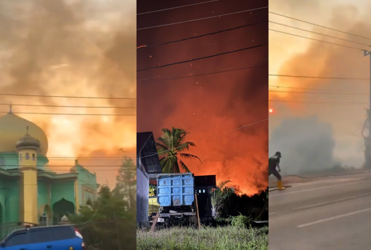 7 Titik Wilayah Karhutla di Kalimantan, Kabut Asap Lumpuhkan Aktivitas Warga