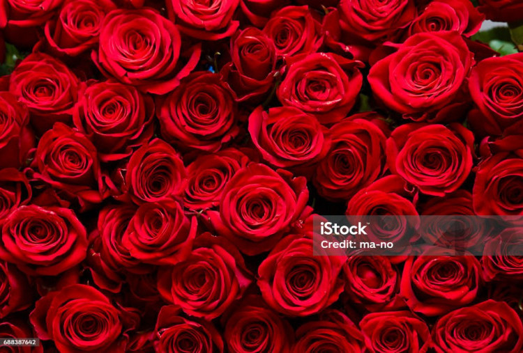 Bunga Layu? No Way! Ragam Mawar Artificial yang Jadi Tren 14 Februari