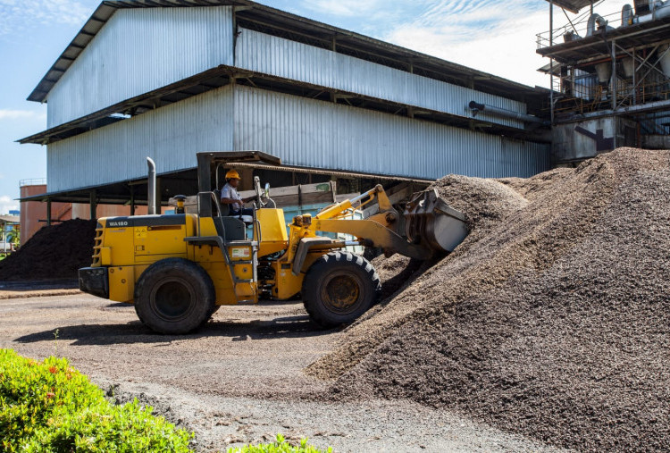 IPB Dorong Pemanfaatan Limbah Kelapa Sawit Jadi Produk Bernilai Ekonomis dan Ramah Lingkungan