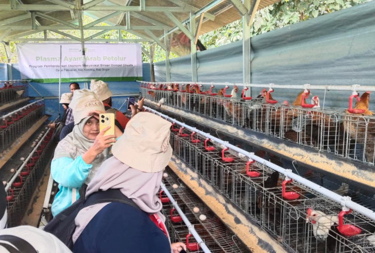 Dompet Dhuafa Ajak 50 Jurnalis Jelajahi Program Pemberdayaan di Zona Madina Bogor