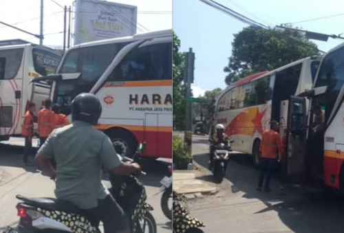 Geger! Sopir Bus PO Harapan Jaya dan PO Bagong Transport Terlibat Cekcok di Tengah Jalan, 2 Bus Melintang di Lampu Merah