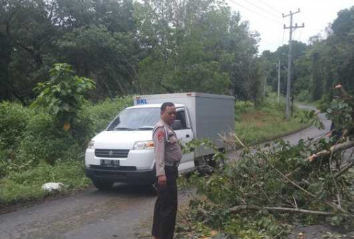 Personel Polsek Muara Kelingi Bantu Warga Pindahkan Pohon Tumbang 