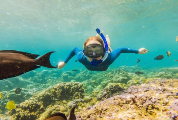 5 Tip dan Rekomendasi Destinasi Snorkeling di Indonesia, Sambut Hari Snorkeling Dunia 30 Juli